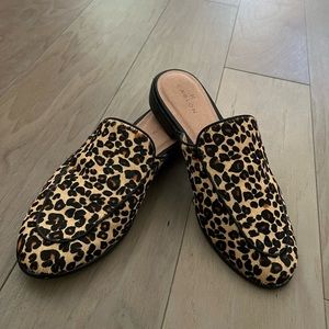 Caslon Evelyn Mule Leopard Print Calf Hair - Size 6.5